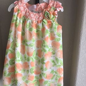 Bonnie Baby 24 Month Dress